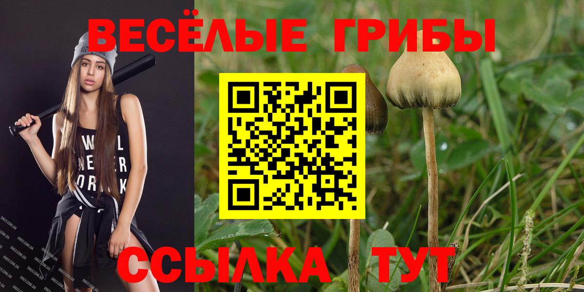Галлюциногенные грибы мухоморы Карталы